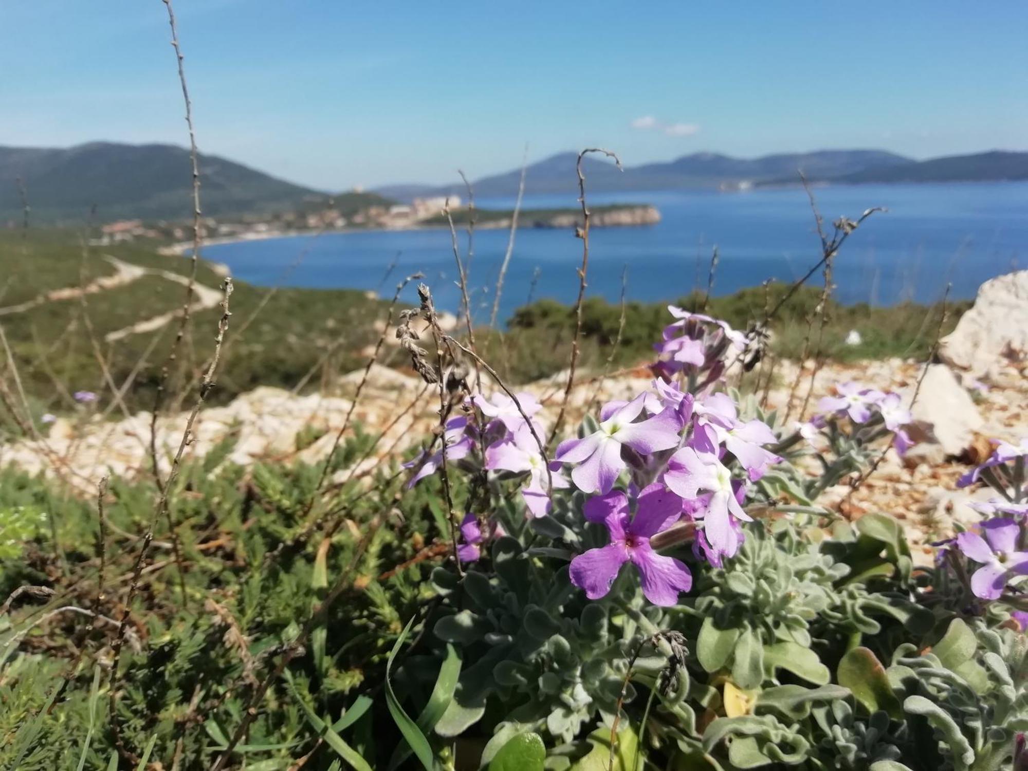 El Matorral Bed & Breakfast Alghero Exterior photo